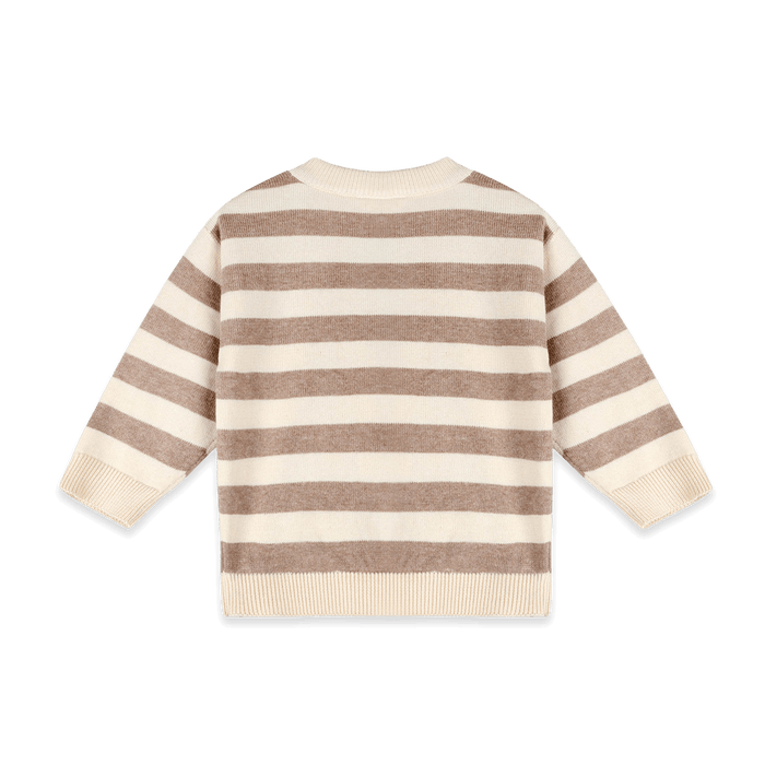 Organic Cotton Lion Baby Knit Pullover and Pant Set, Shirt Back