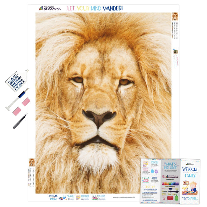 Lion Portrait
