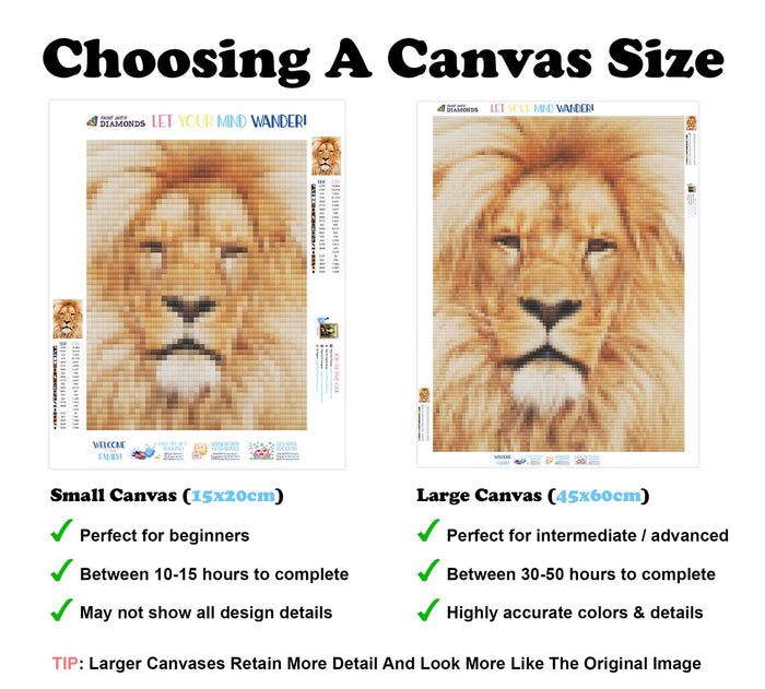 Lion Portrait