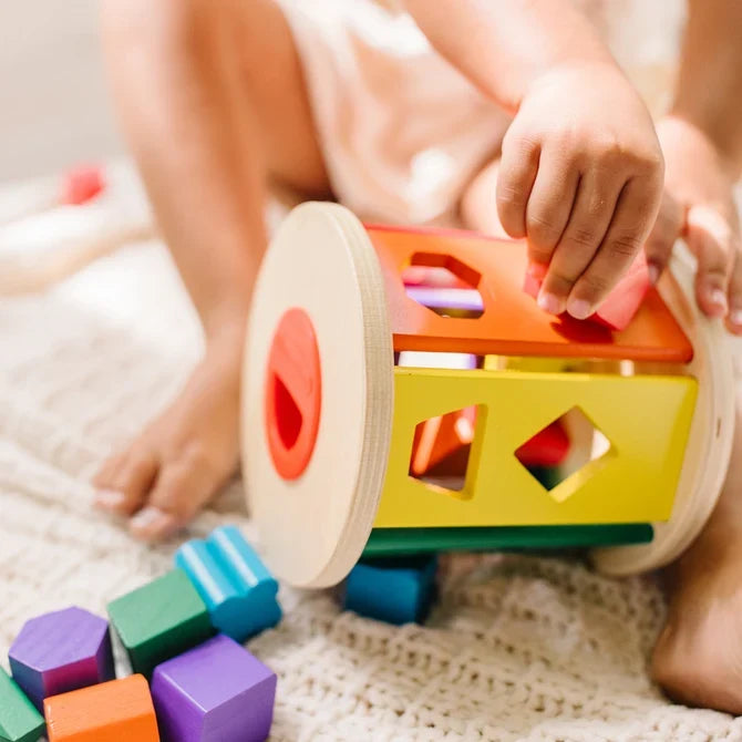 Melissa & Doug Match & Roll Shape Sorter