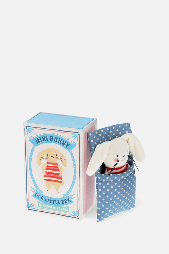 Rex Mini Bunny in a Little Box.