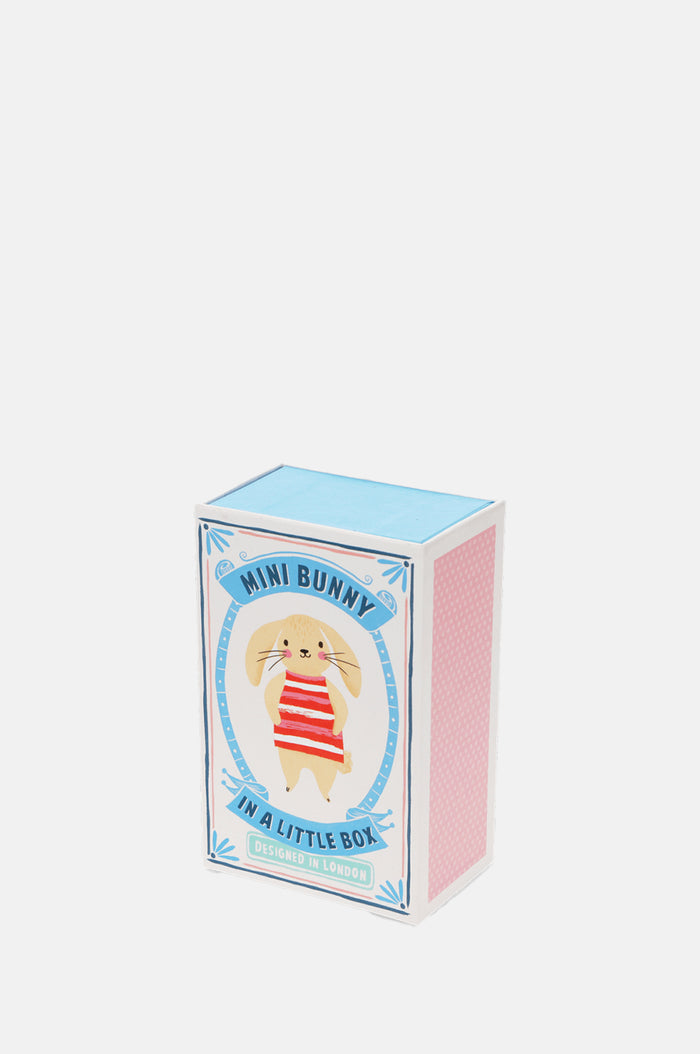 Mini Bunny In A Little Box