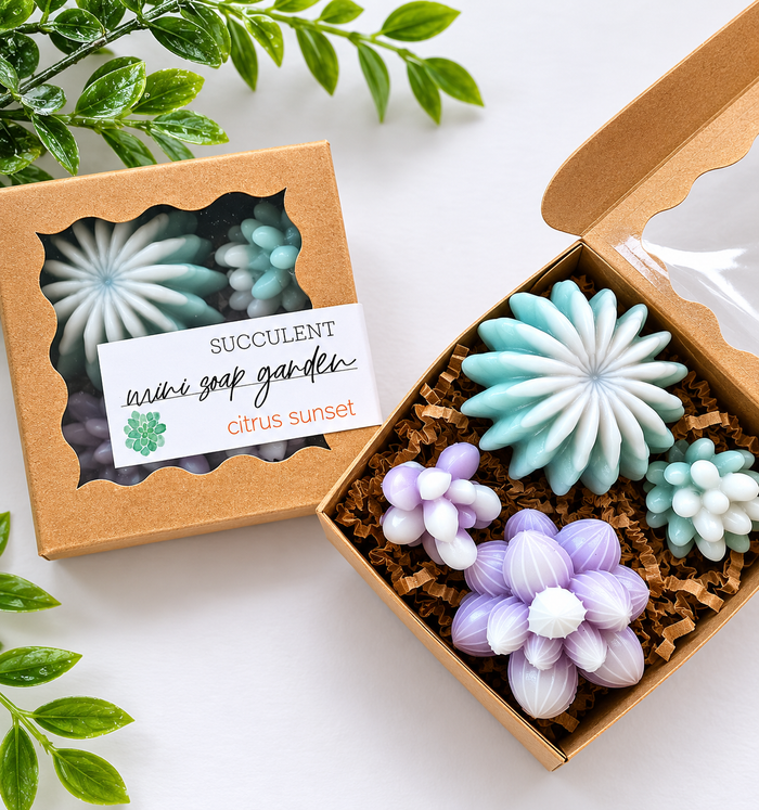 Mini Succulent Soap Garden