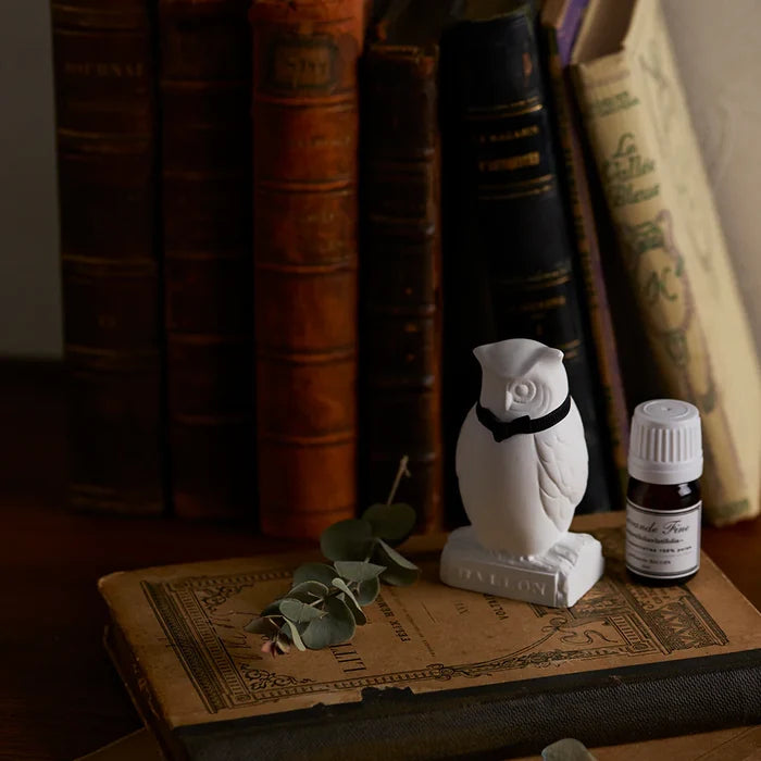 White owl-shaped aroma ornament with essential oil bottle styled on vintage books, creating an antique-inspired home fragrance display with warm, moody decor.