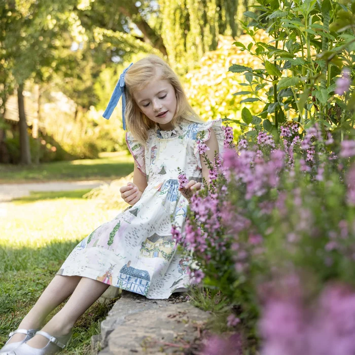 Pink Chicken Jennifer Dress-Whimsical Castle Dress