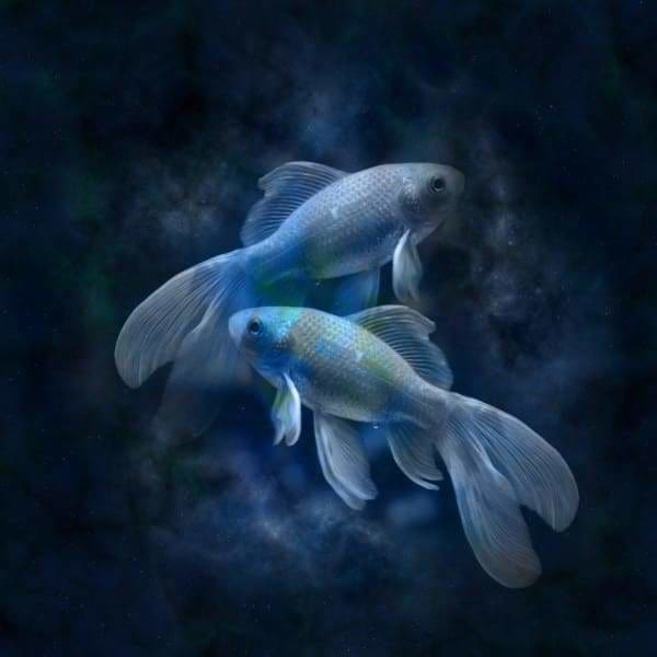 Nature Diamond Painting Kit - Pisces Fish-Square 20x20cm- - Paint With Diamonds