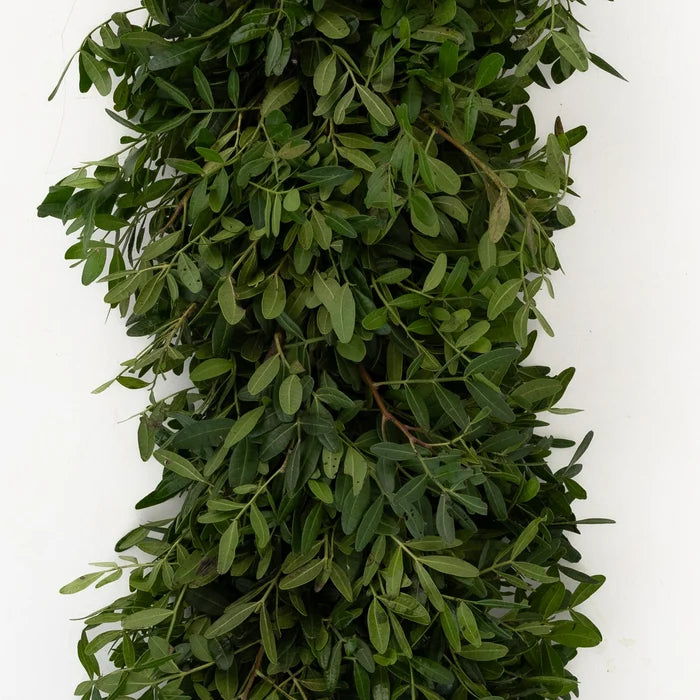 Pistachia Green Garland Apron - Image