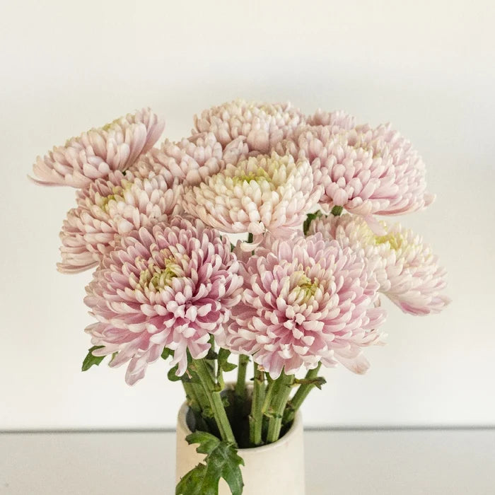 Rossand Dark Vase - Image