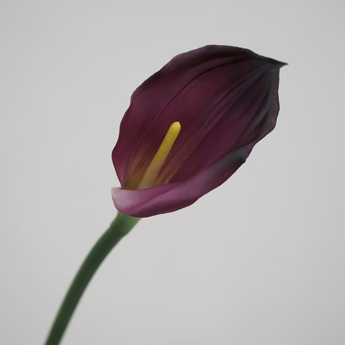 Deep Purple