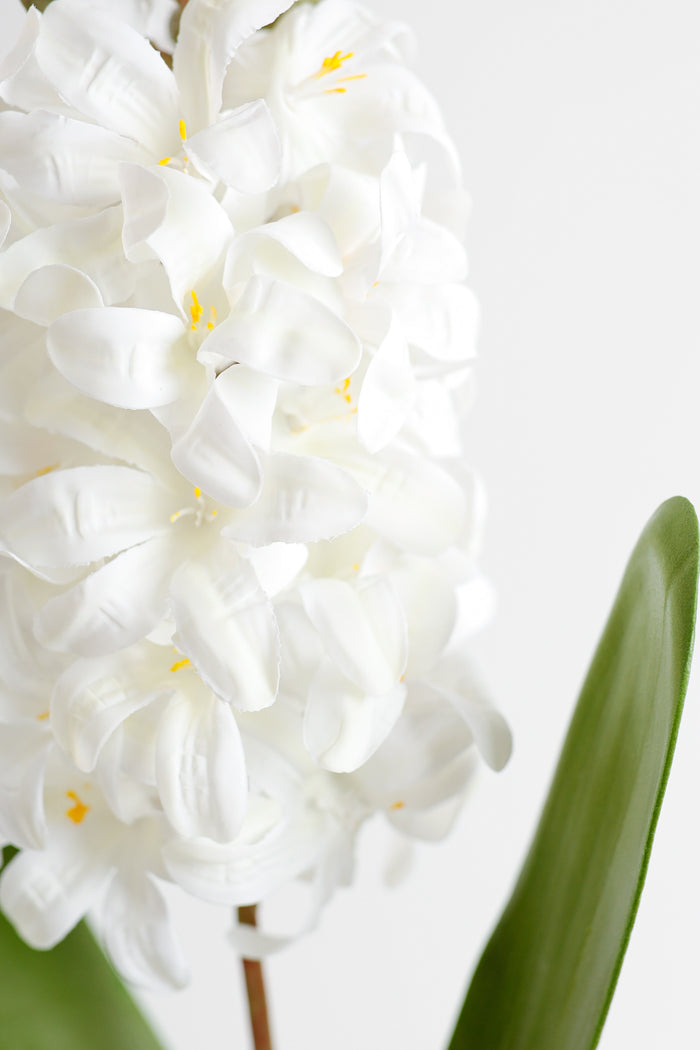 Premium Real Touch Hyacinth Stems Pick