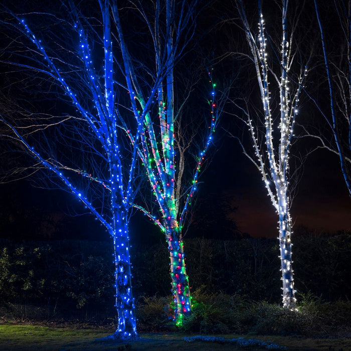 PR50MB_Multi-coloured-LED-Christmas-Lights-Tree-Group_3999abe2-cac5-48fe-b251-7124e9e1459d.jpg