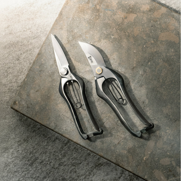 Pruning Shears