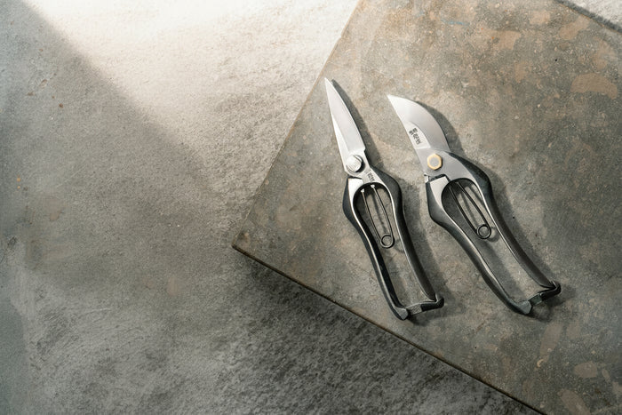 Pruning Shears