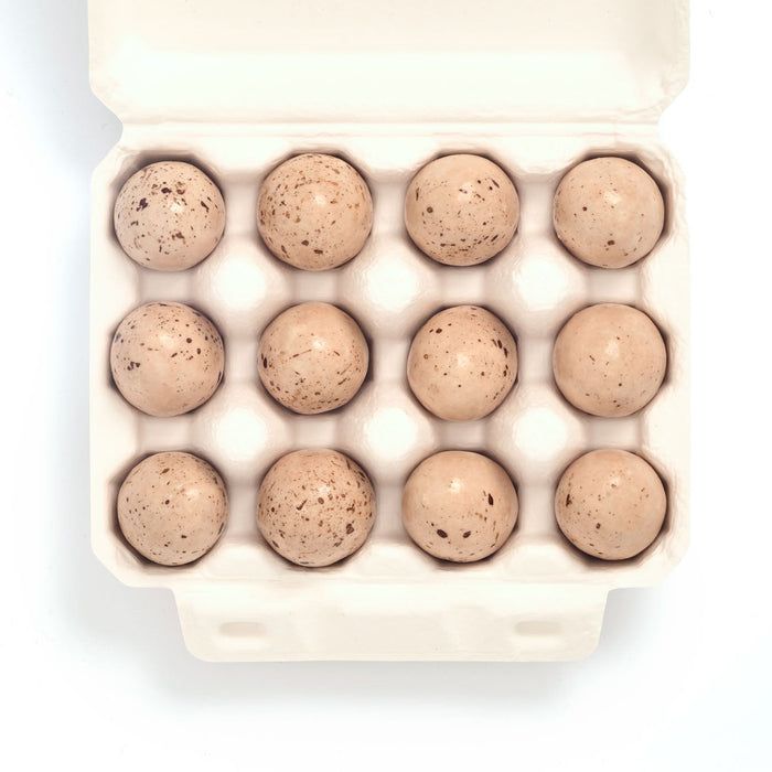 Carton of eggs on a white background