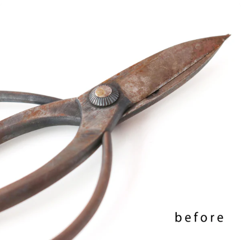 R3 Pruning Shears Rust Eraser