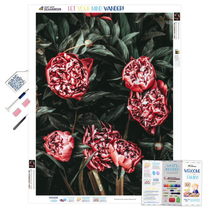 Red Peonies