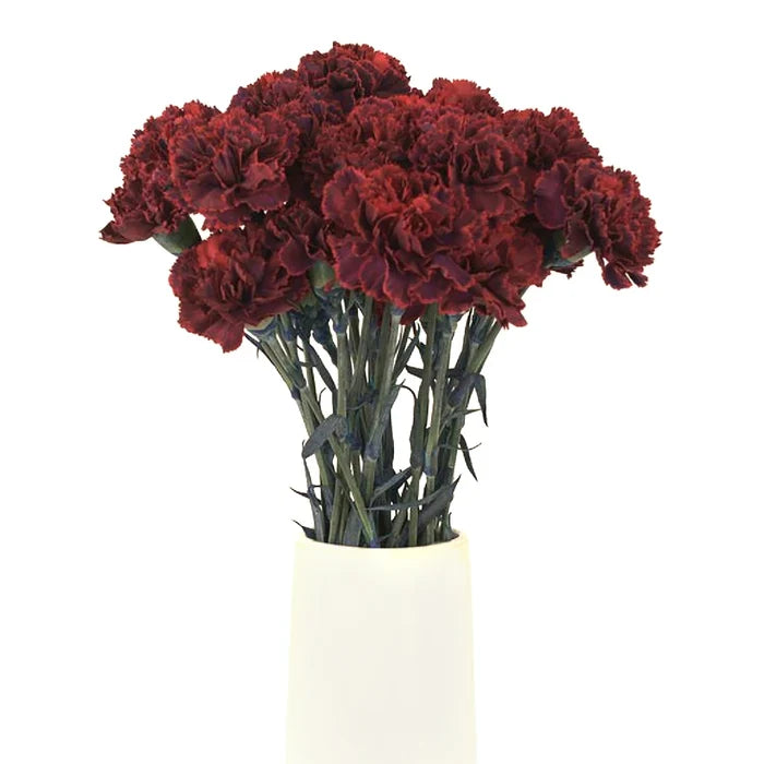 Pinot Noir Carnation Flower Vase - Image