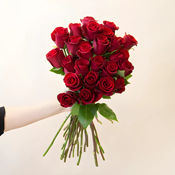 Rich Red Tinto Rose