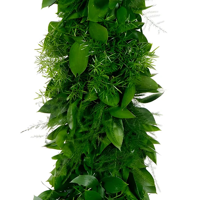 Ruscus, Plumosa, and Sprengeri Greens Garland