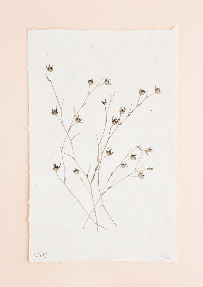 Stalks of long grasses are printed in black and white on rough edged paper.