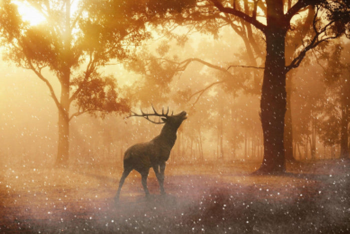 Silent Forest