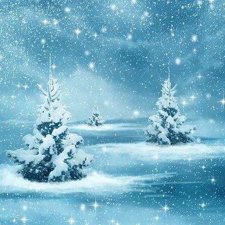 Nature Diamond Painting Kit - Silent Snowfall-Square 20x20cm- - Paint With Diamonds