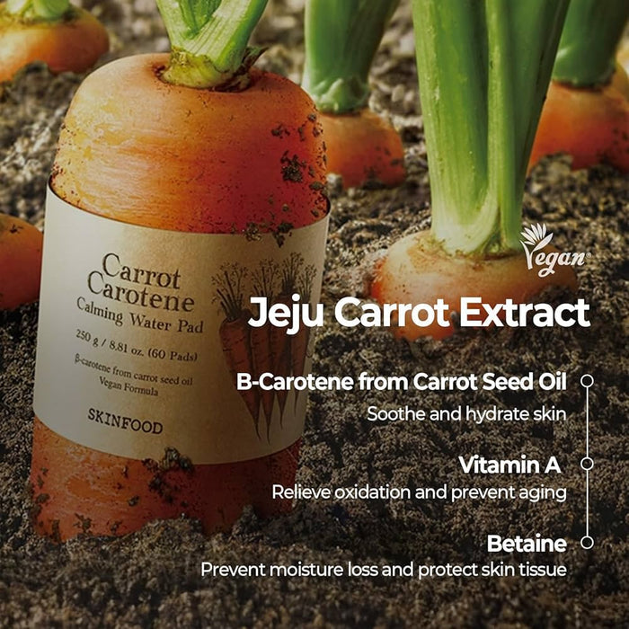 Skinfood Carrot Carotene Calming Water Pad 250g وسادة ماء مهدئة بالجزر والكاروتين من سكين فود - Princess Cosmetics Qatar