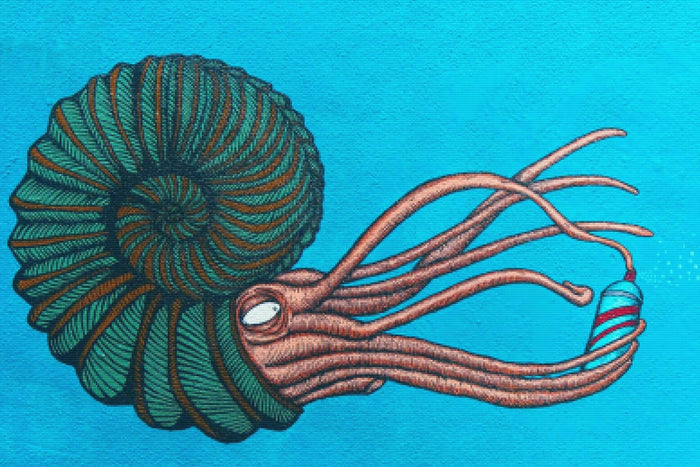 Street Art Octopus