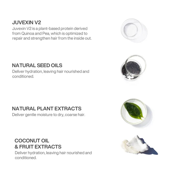 Styling Mousse ingredients: Juvexin V2 quinoa and pea protein, seed oils, plant extracts, coconut oil and fruit extracts