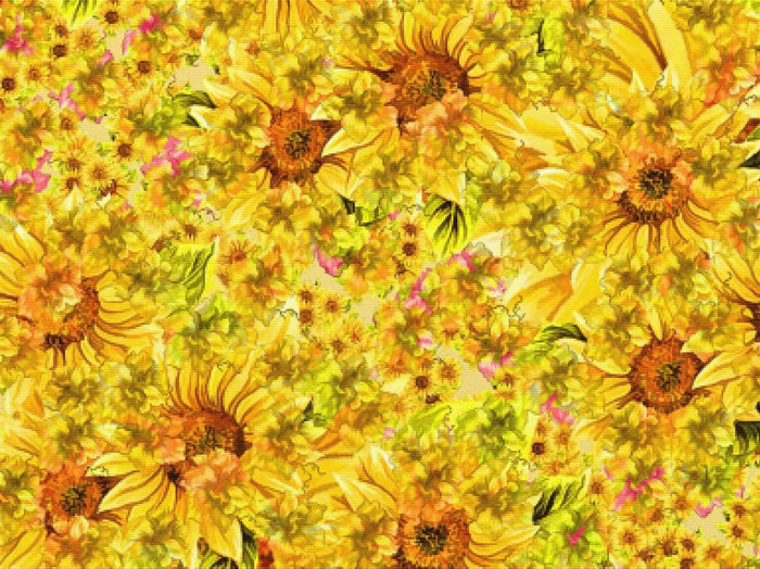 Sunflower Abstract