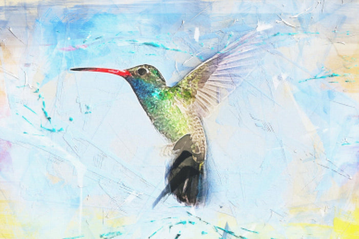 Sweet Hummingbird