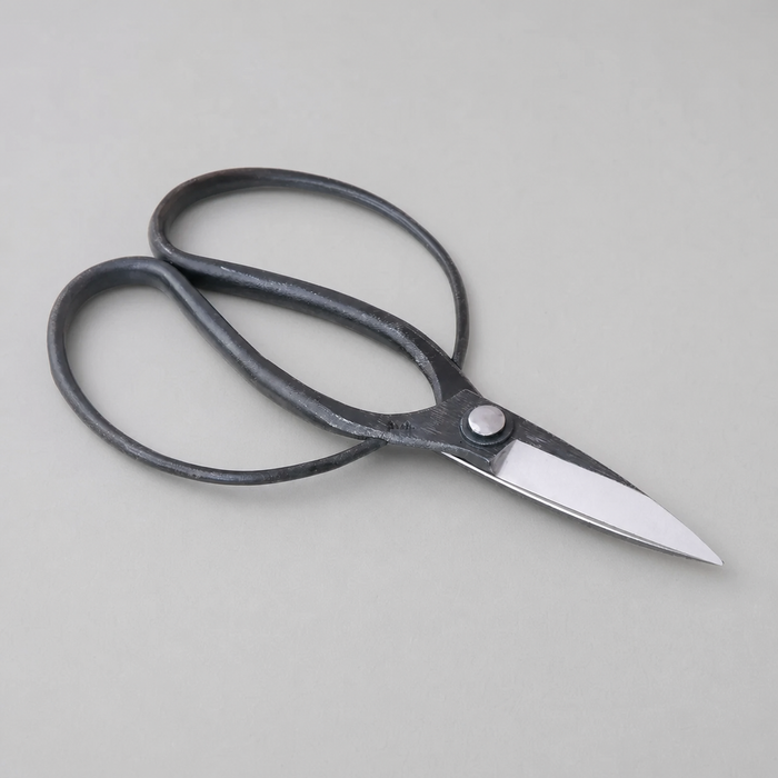 T1 Okubo Scissors