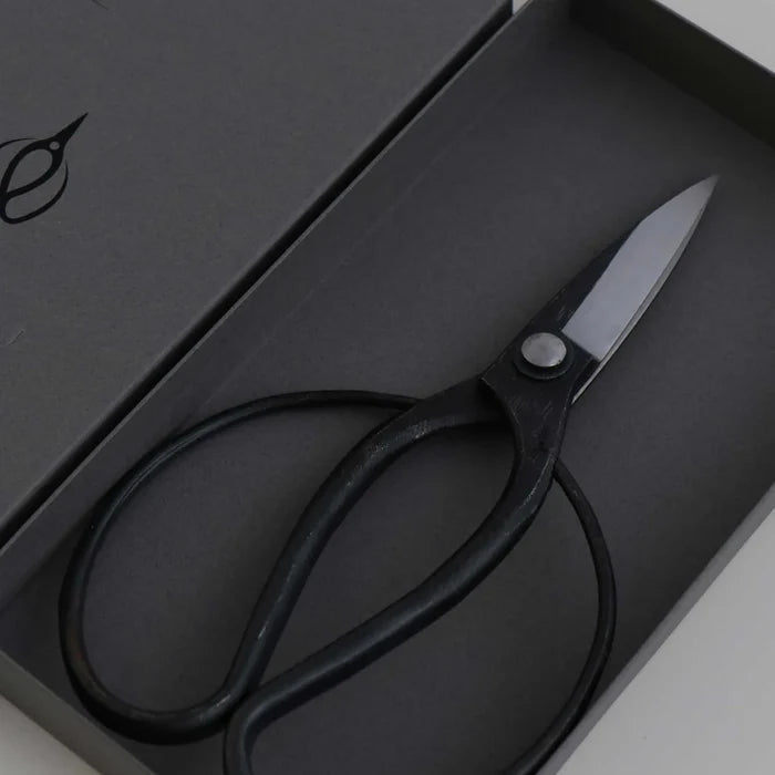 Black-handled scissors with silver metal blades, presented inside a dark gray gift box.
