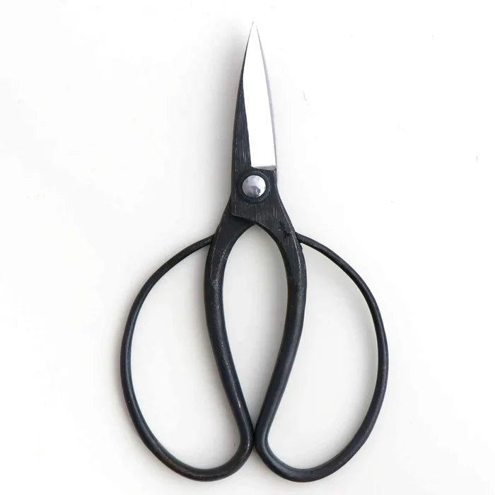 Black-handled scissors with silver metal blades, shown on a plain white background.