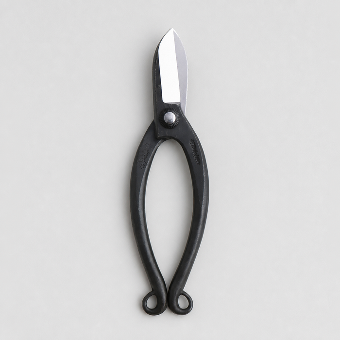 T8 Warabi Scissors