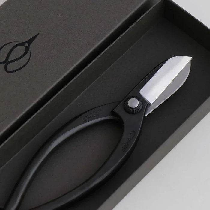 Black scissors with a silver blade in a black box on a white background