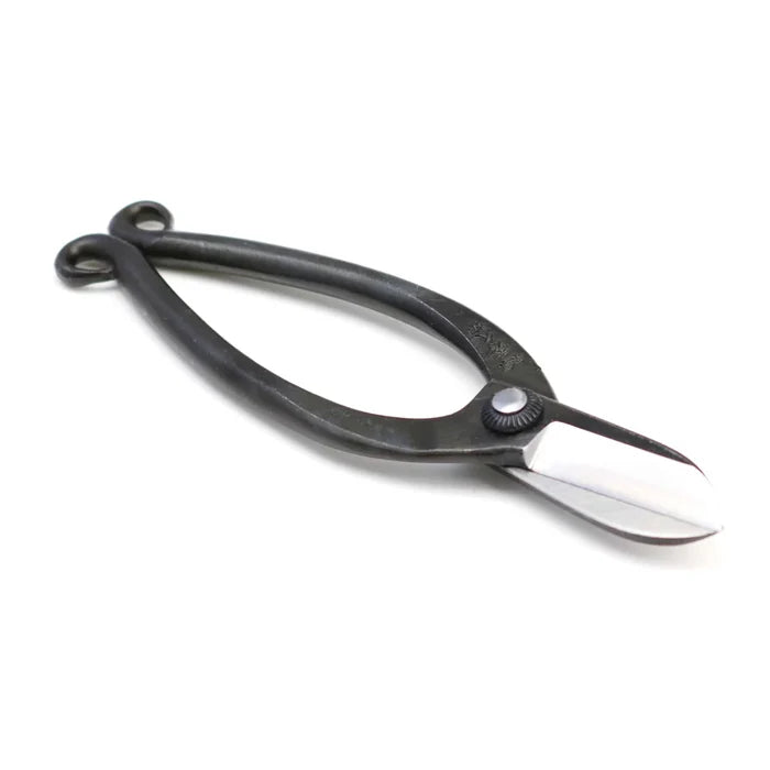 T8 Warabi Scissors
