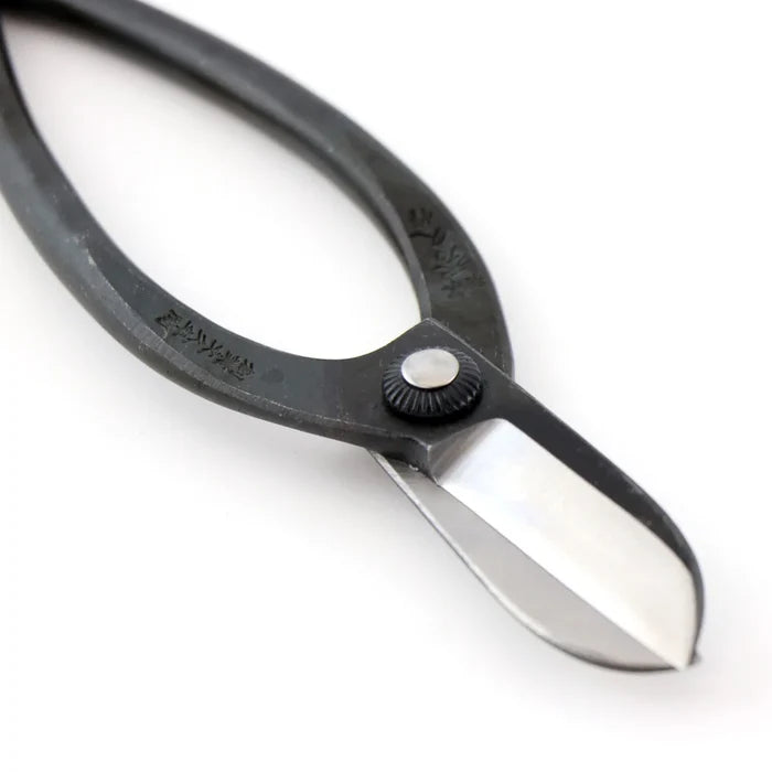 Close-up of a pair of pruning shears with black plastic handles and silver metal blades on a white background.