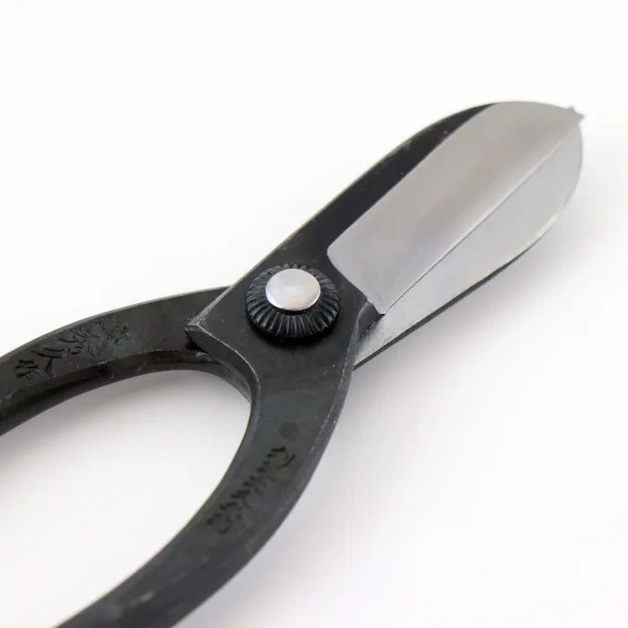 T8 Warabi Scissors