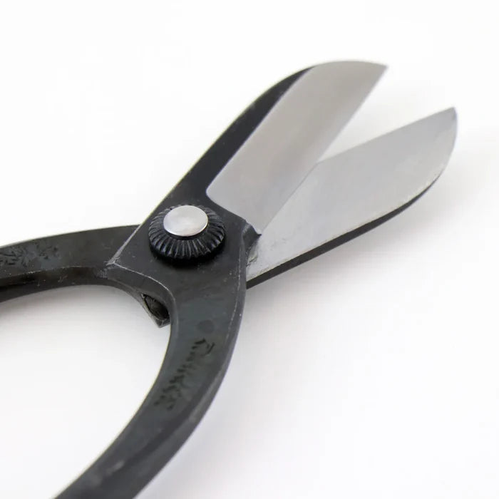 T8 Warabi Scissors