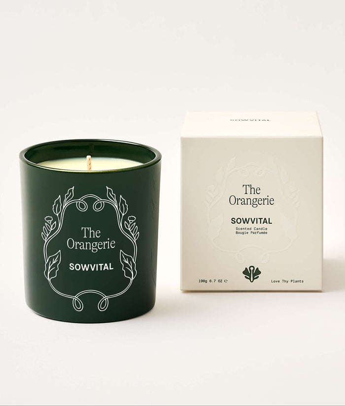 Green candle with decorative design and matching box on a white background