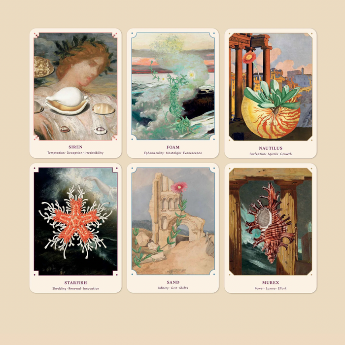 The Seashell Oracle