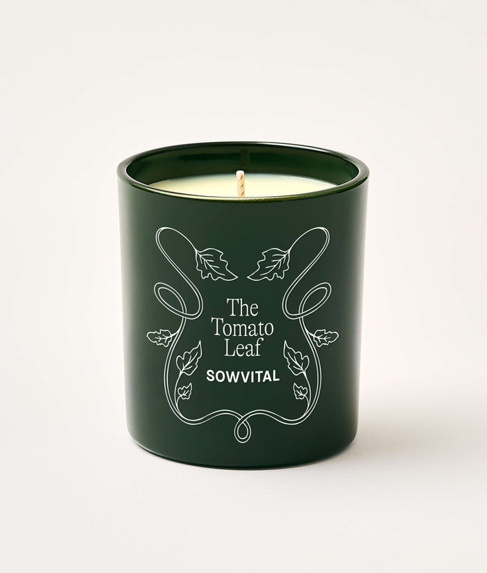 Green candle in a container with 'The Tomato Leaf' branding on a white background