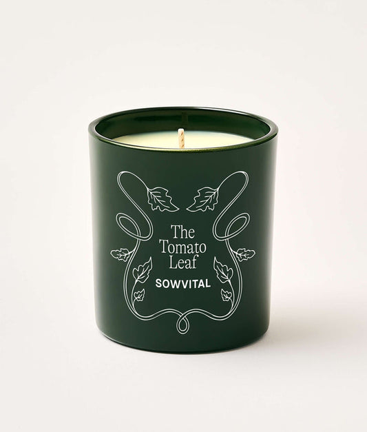 Green candle in a container with 'The Tomato Leaf' branding on a white background