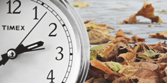 Time For Fall