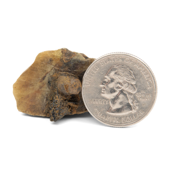 Titanite - Rough