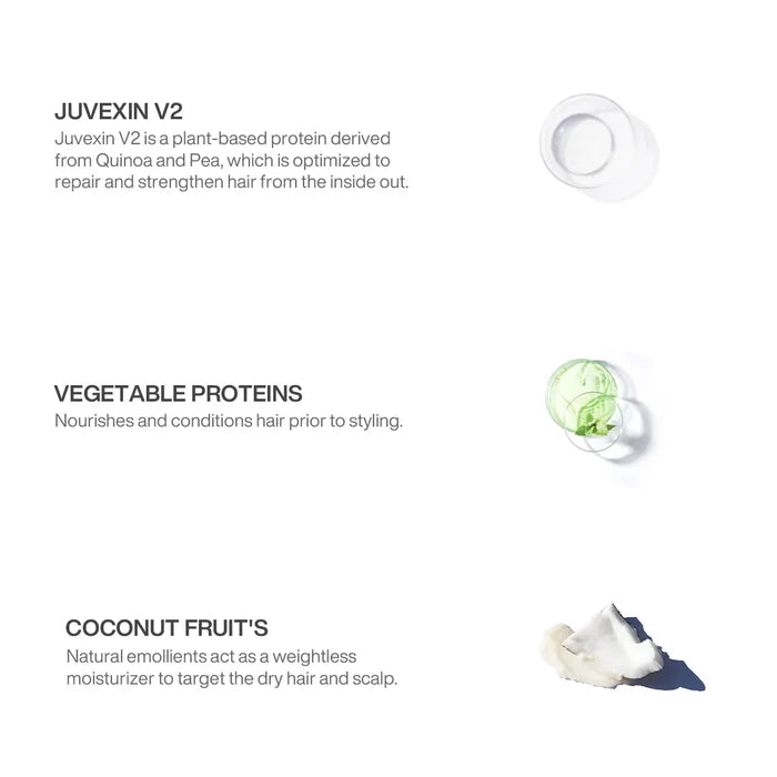 VolumizeHer ingredient panel: Juvexin V2, Vegetable Proteins nourish before styling, Coconut Fruit's weightless moisturizer