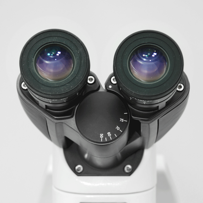 WF 10X Widefield Focusable Microscope Eyepieces, High Eyepoint, 30mm, FOV 20mm, Adjustable Diopter (Pair) BM05102221