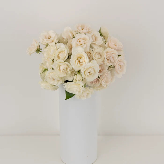 Creamy White Bulk Spray Roses Vase - Image