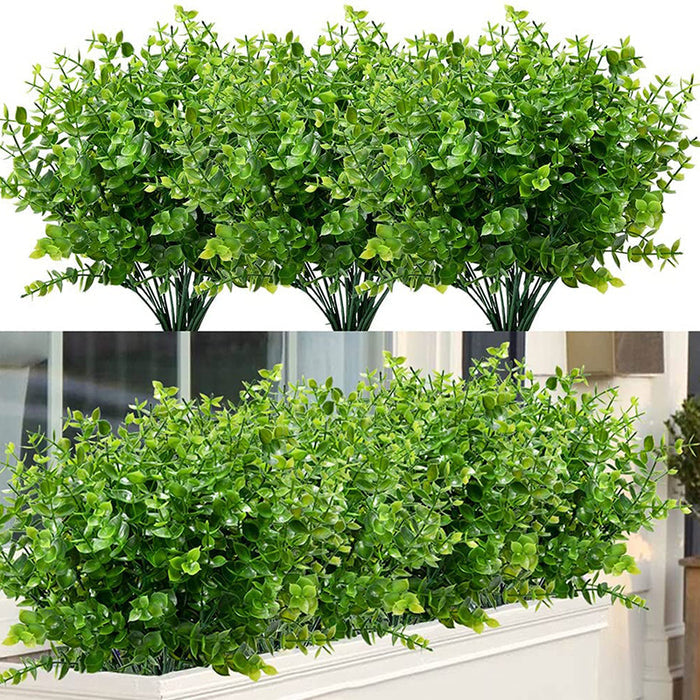 Wholesale Clearance! Bulk UV - Resistant Boxwood Bush Plants for Outdoor Use